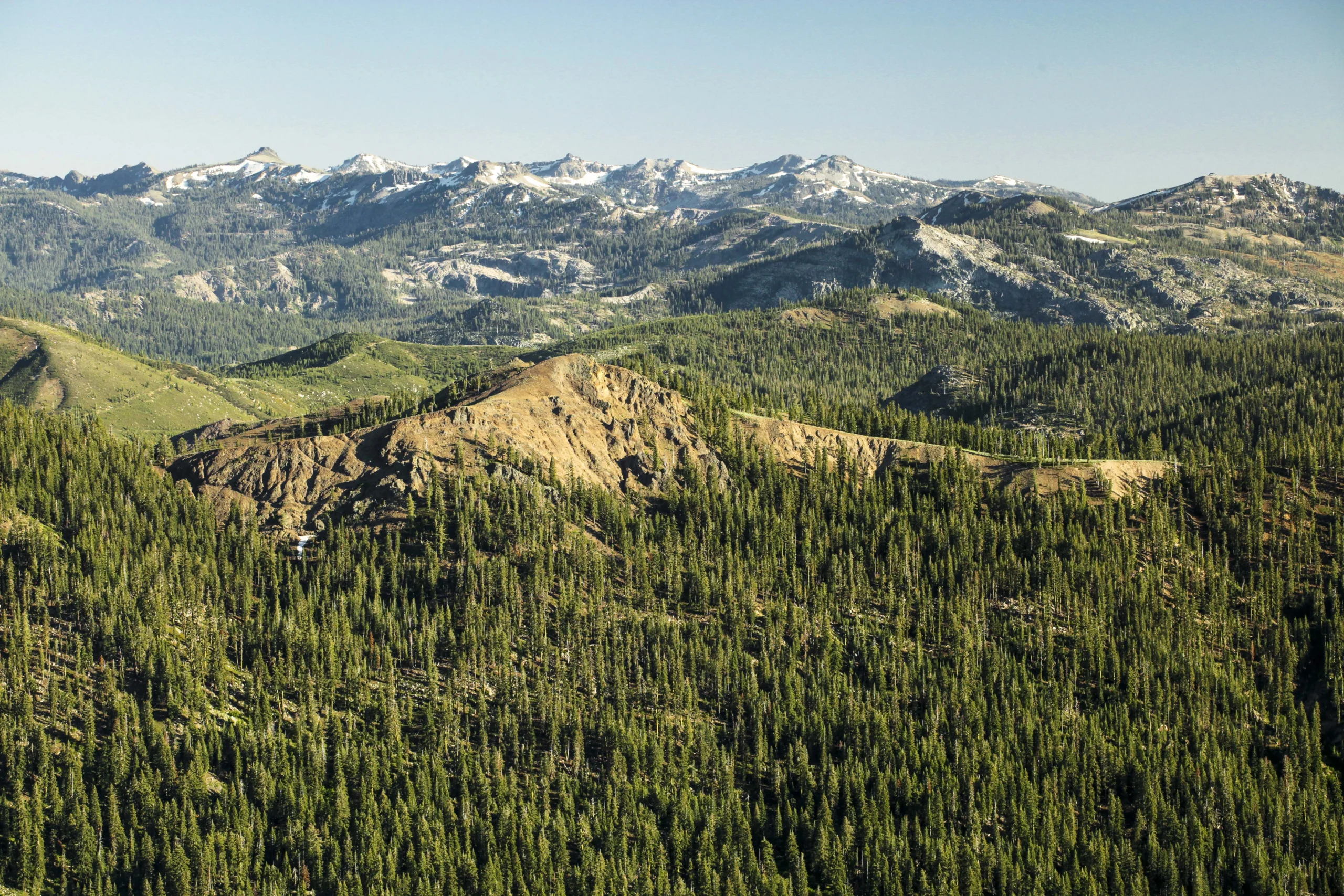 Landscape of Carpenter Ridge (image from Robb Hirsch and TPL)