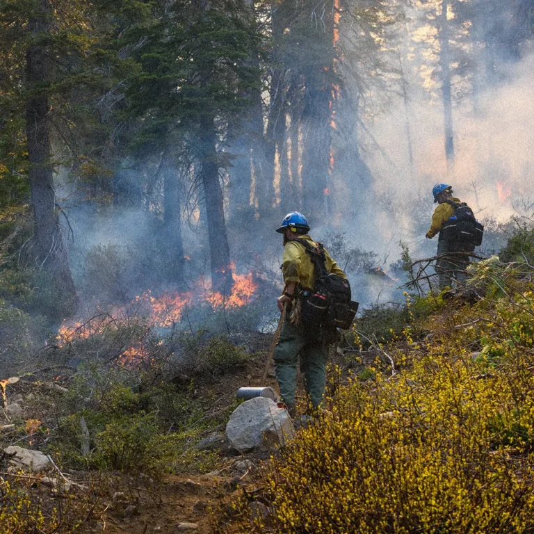 Two firefighters conducting controlled burn in forested area.