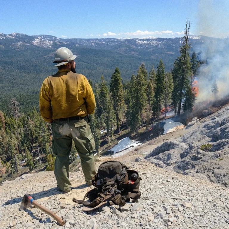 Wildfire crew overlooking mountain landscape from a rock pile, with a controlled burn occurring below.